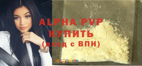 амф Бородино