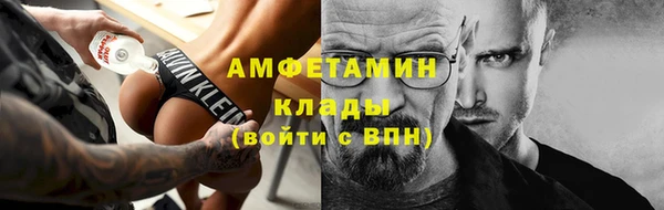 амф Бородино