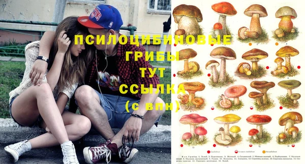 соль ск Богородицк