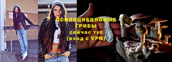 дурь Богданович