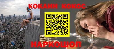 сатива Моздок