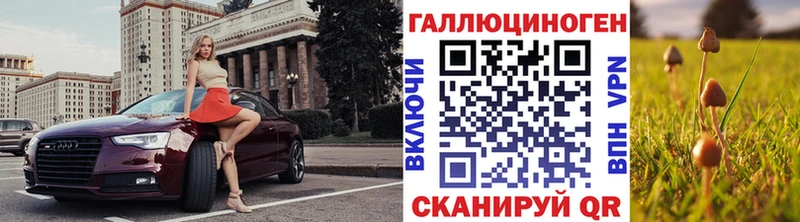 как найти закладки  Сердобск  Псилоцибиновые грибы Psilocybine cubensis 