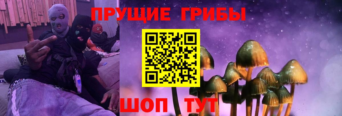 Псилоцибиновые грибы Psilocybine cubensis  Вход с VPN  Псилоцибиновые грибы Psilocybe  Сердобск 